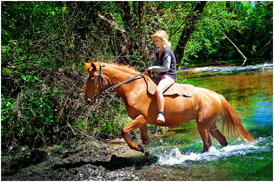 Лошадь переправа. Девушка на коне в реке.