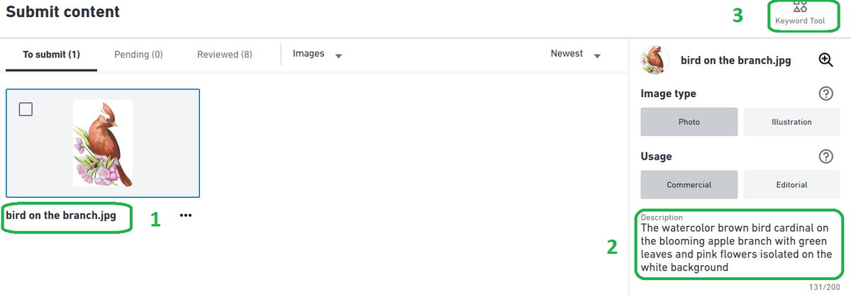 Оформление загрузки на Шаттерсток