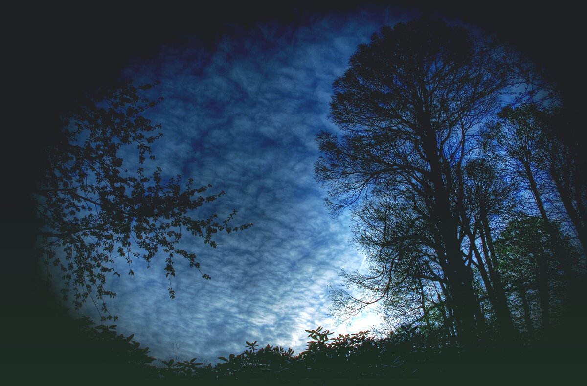 астрология эзотерика психология предсказания приметы созвездие гадание  