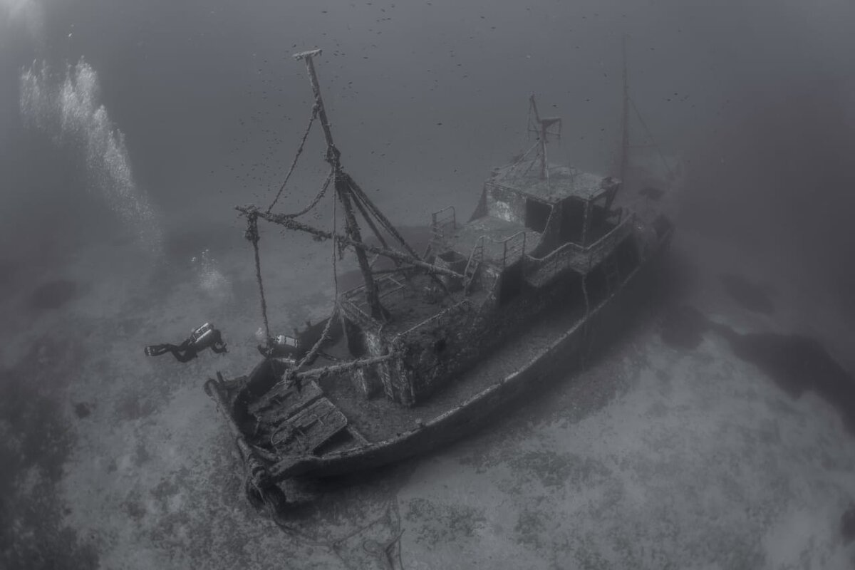 Фото: Pavel Lapshin