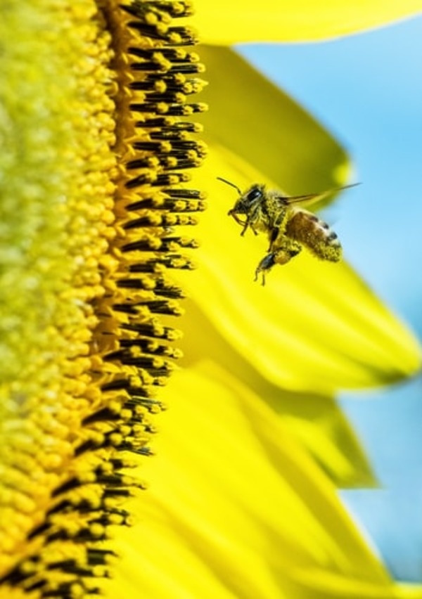 https://unsplash.com/photos/swtg-ahmGzY