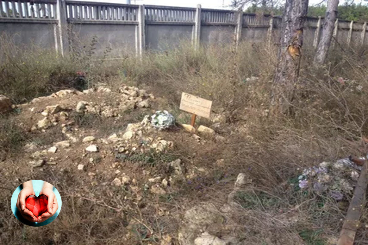 захоронение за счет государства. могилы погибших россия. ростов северное кладбище аллея. кладбище безродных. социальное погребение в москве.