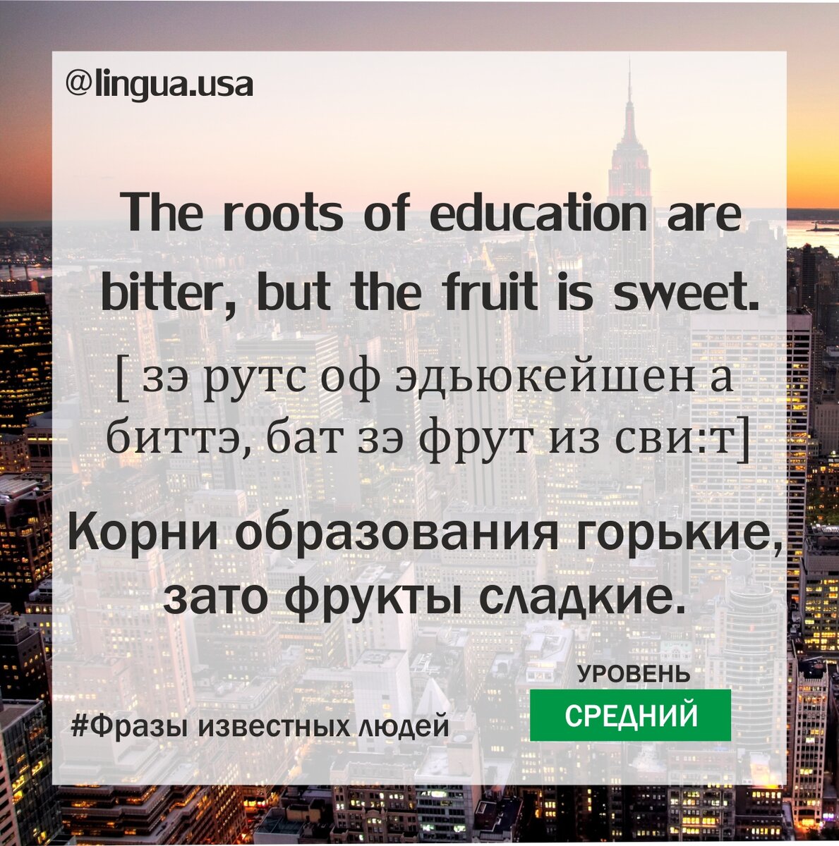 https://www.instagram.com/lingua.usa/