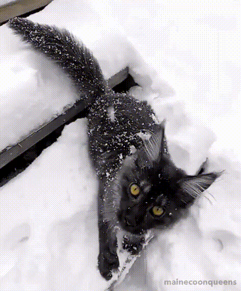 " Знакомство со снегом"