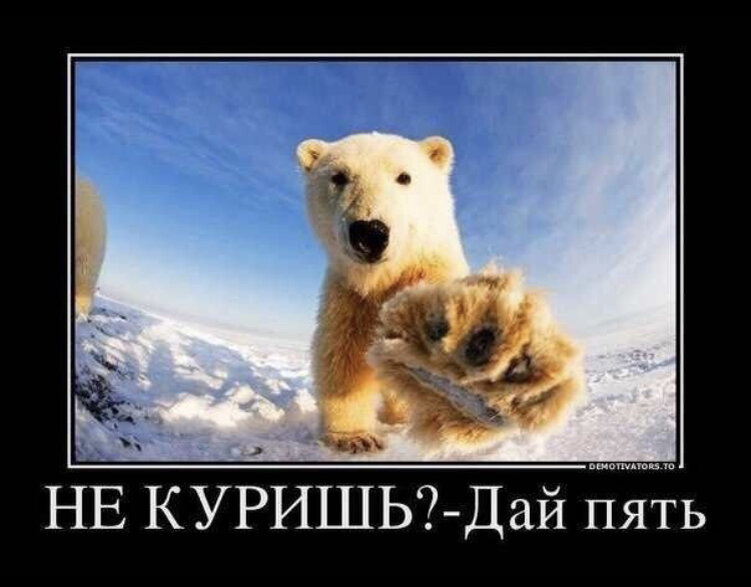 Фото из интернета