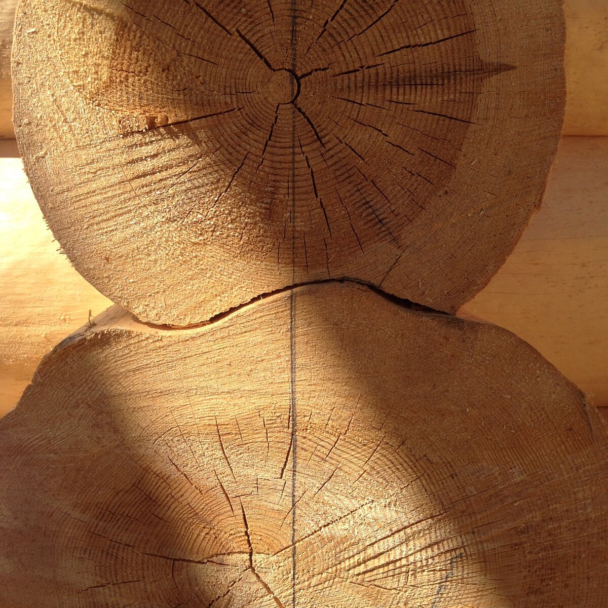 Фотография переруба.