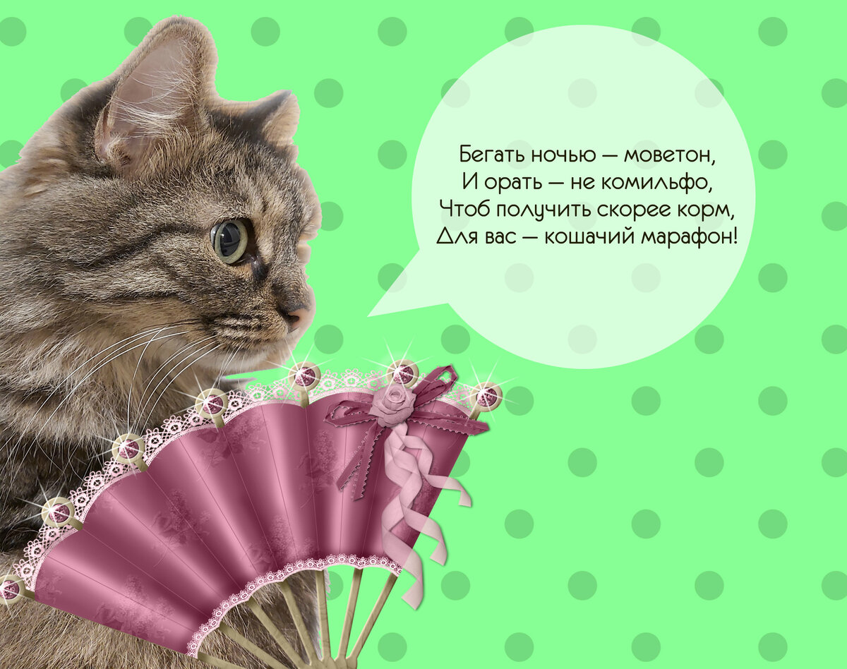 «Комильфо» и «моветон» – что означают эти модные словечки? | Беречь ...