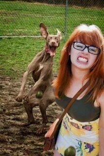 Фото с Яндекс картинки