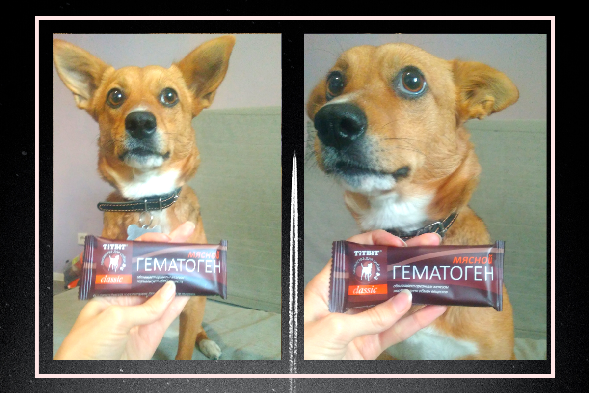 Я в предвкушении лакомства