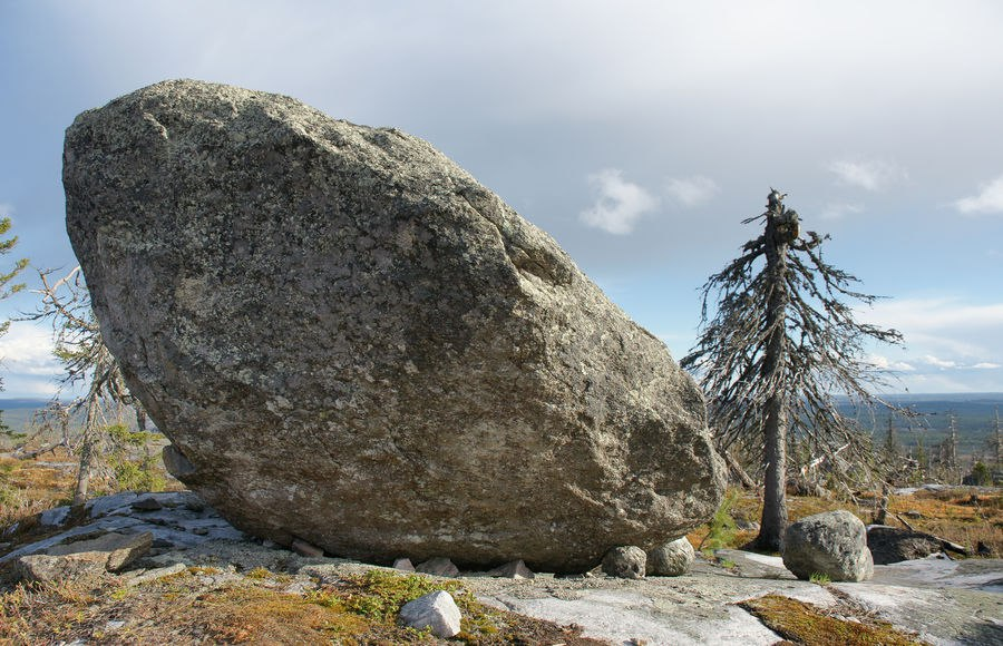 (Фото: Наталья Вахменина)