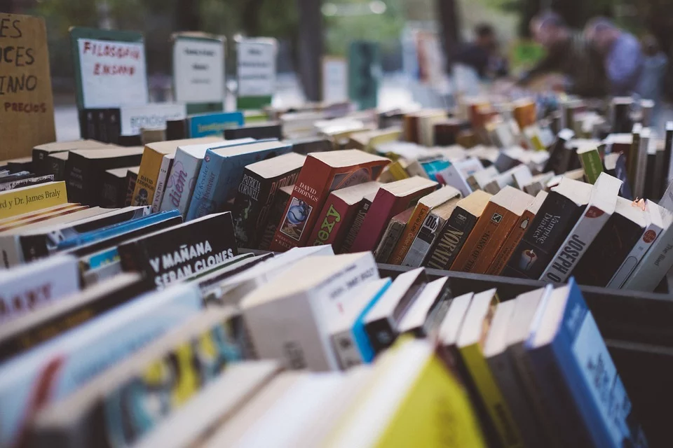 https://pixabay.com/photos/arranged-books-bookshop-bookstore-1842261/