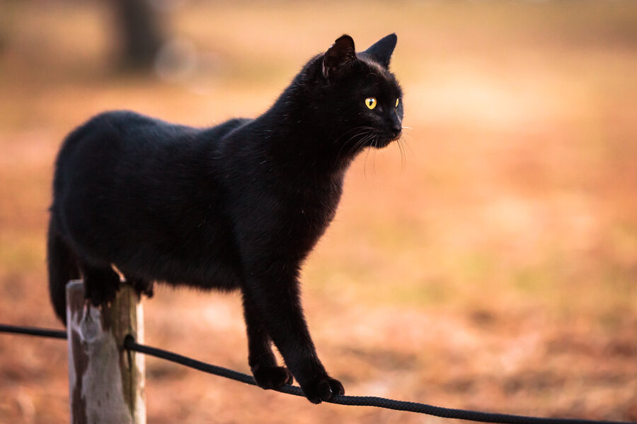 фото взято из открытых источников