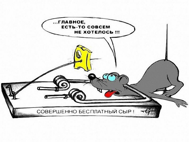 Картинка из интернета