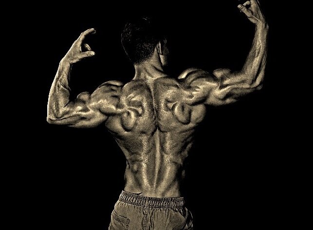 Широкий верх тела атлета