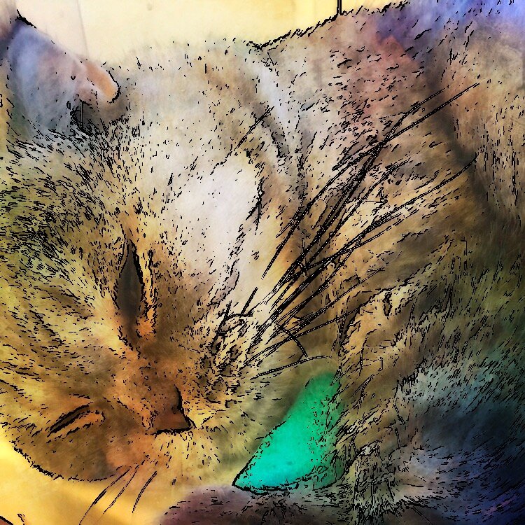 Бублик (Арчибальд)