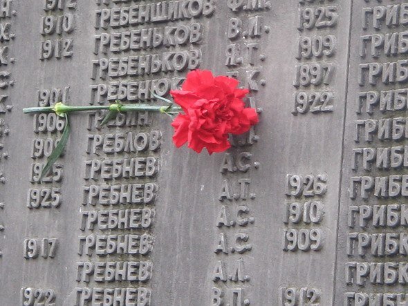 Сколько человек погибло в великую войну. Потери в Великой Отечественной войне 1941-1945. В Великой Отечественной войне погибло. Численность погибших в Великой Отечественной войне. Сколько людей погибло в Великой Отечественной войне 1941-1945.