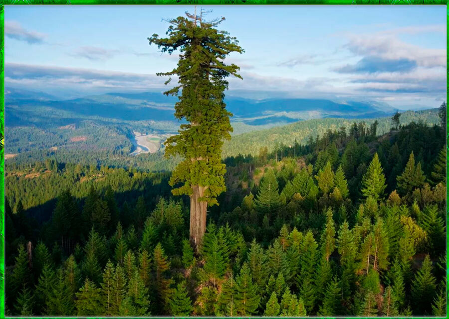 «Гиперион»