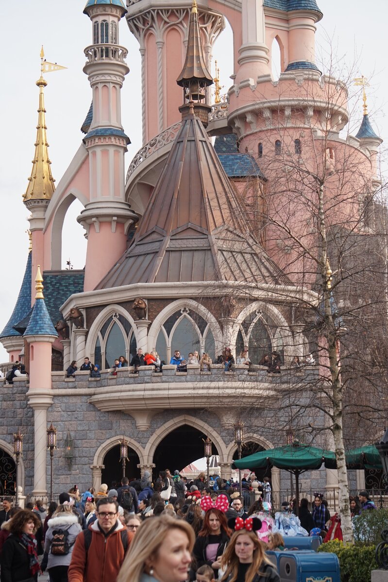 Диснейленд, замок принцессы