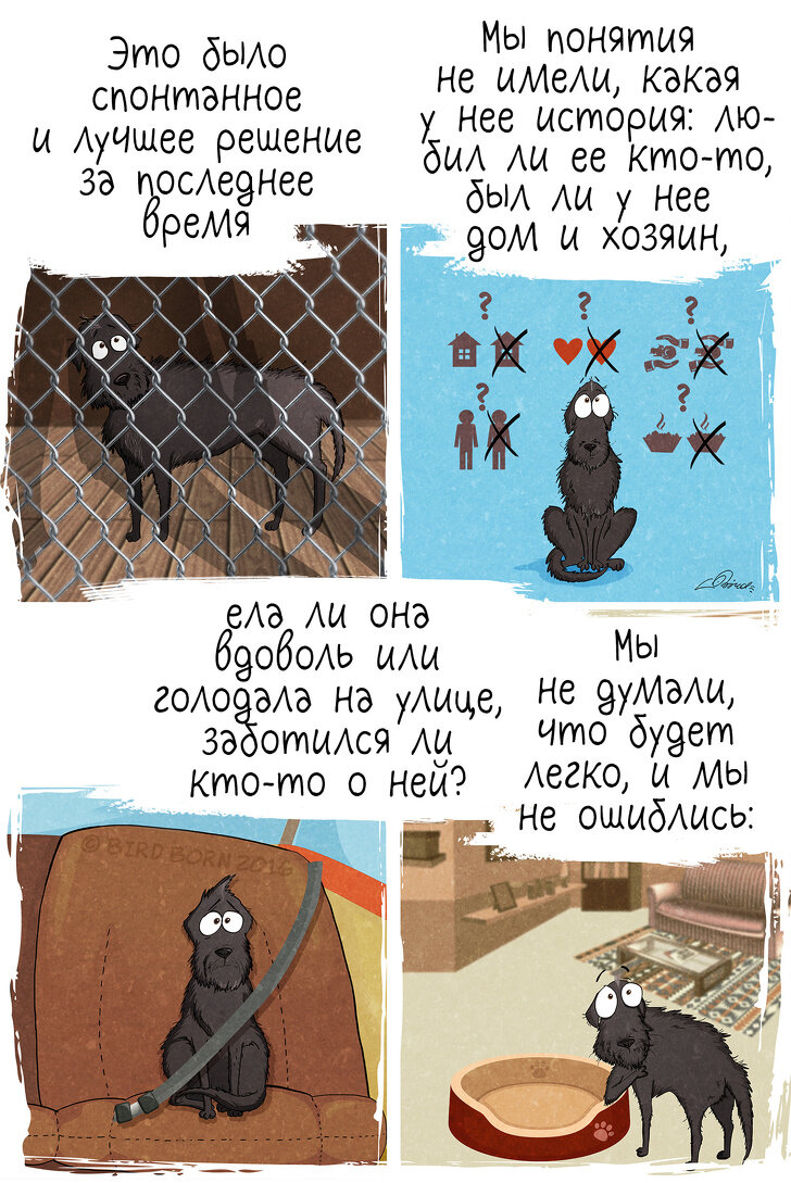 Источник @bird.born