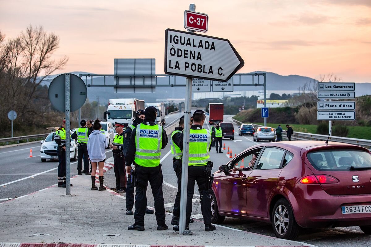 Фото из яндекс картинок