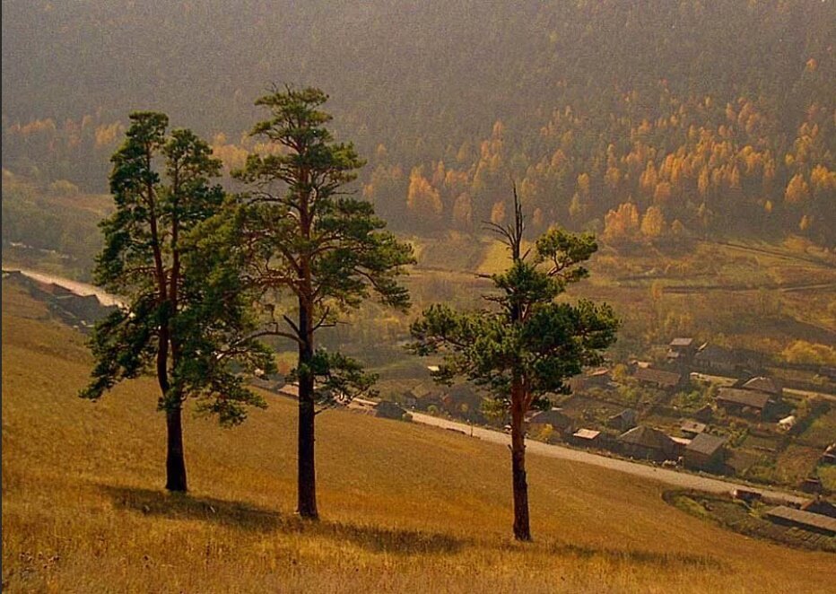 Фото Сергея Зырянова 