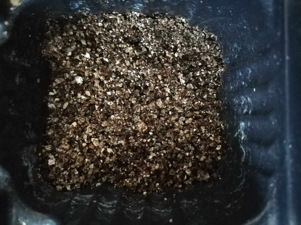           Ячейка кассеты с перлитом.