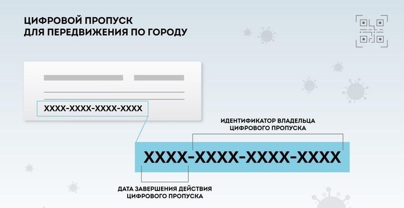 Для передвижения по Москве будет действовать свой пропуск, для области свой.