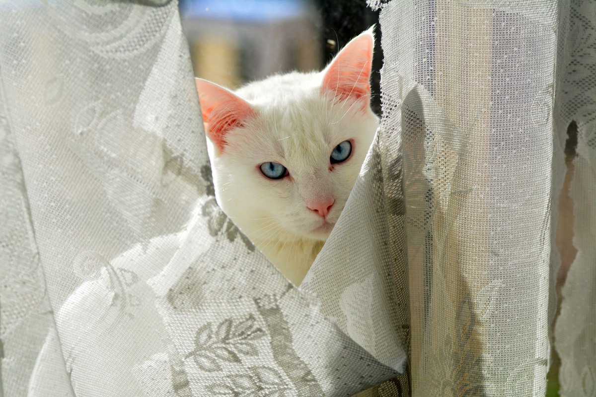 Ну и что, что я порвала, зато я красотка.