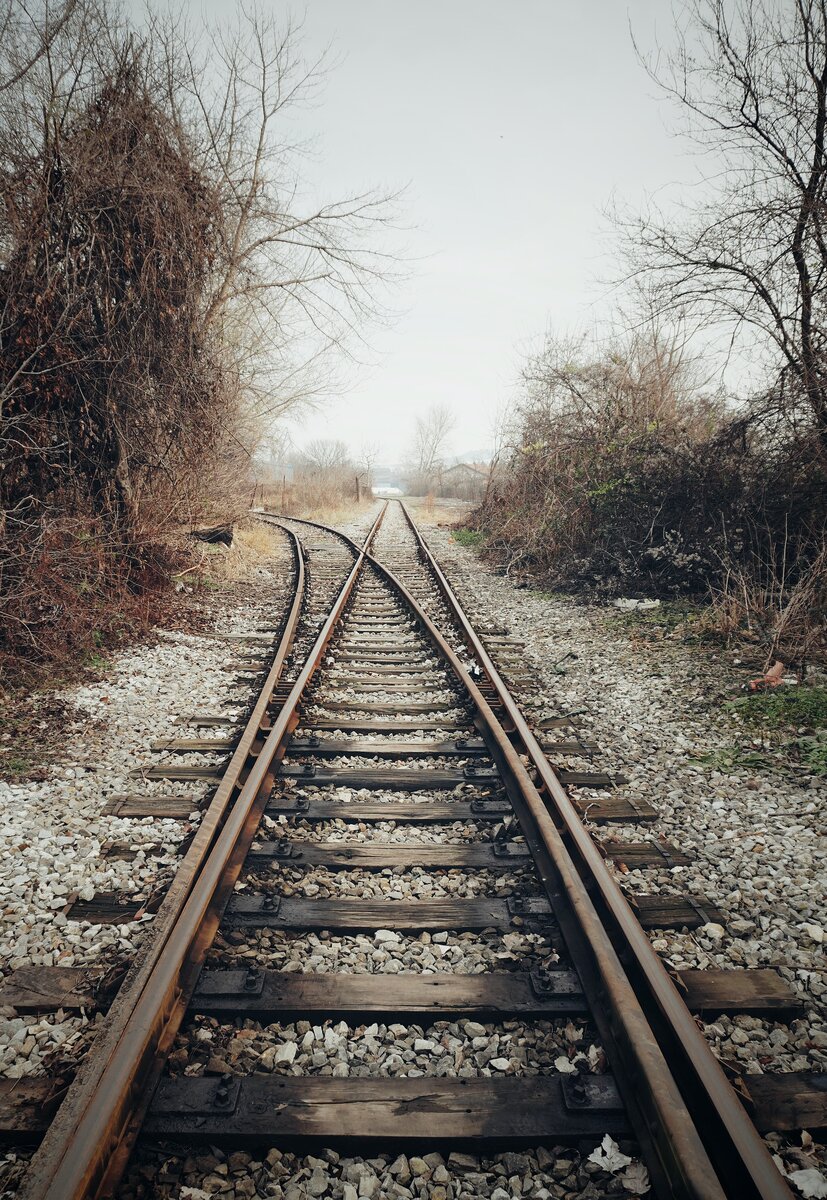 Photo by Ivan Aleksic on Unsplash