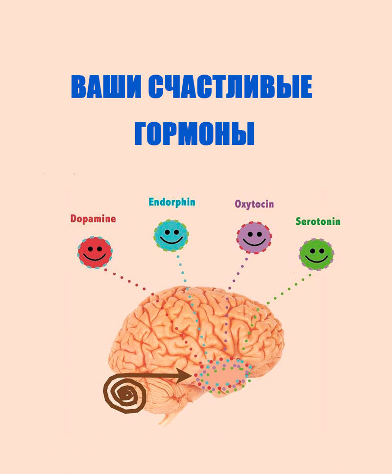 Какое чувство в человеке вызывает гормон эндорфин. Гормоны счастья. Гормон удовольствия. Мозг и гормоны радости. Гормоны счастья Эндорфин серотонин дофамин окситоцин.