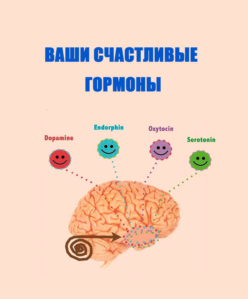 Гормоны счастья. Выработка гормонов счастья. Гормоны счастья Эндорфин серотонин дофамин окситоцин. Гормон радости.