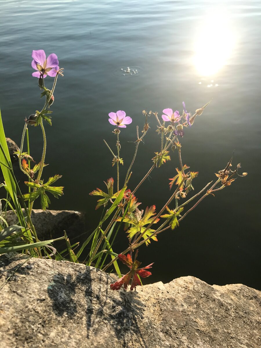 Фото из личного архива