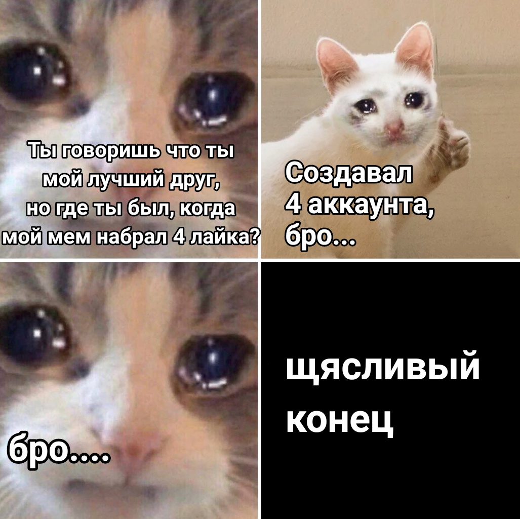 Как сделать видео мем с котами. Мемы с котом. котики поддержка мем. мемы с котиками поддержка. поддерживающие мемы.