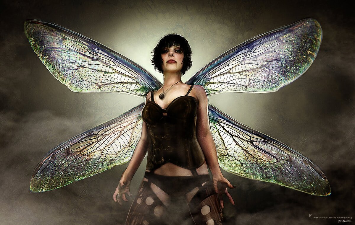 Мастер-художник, по всей видимости, опирался на свою хорошо развитую интуицию и сразу же угадал размеры — действительно, стрекозиные крылья для подъёма человека должны быть примерно такие же точно  как на этой его картинке