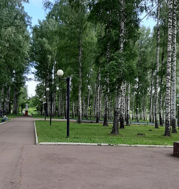 территория парка