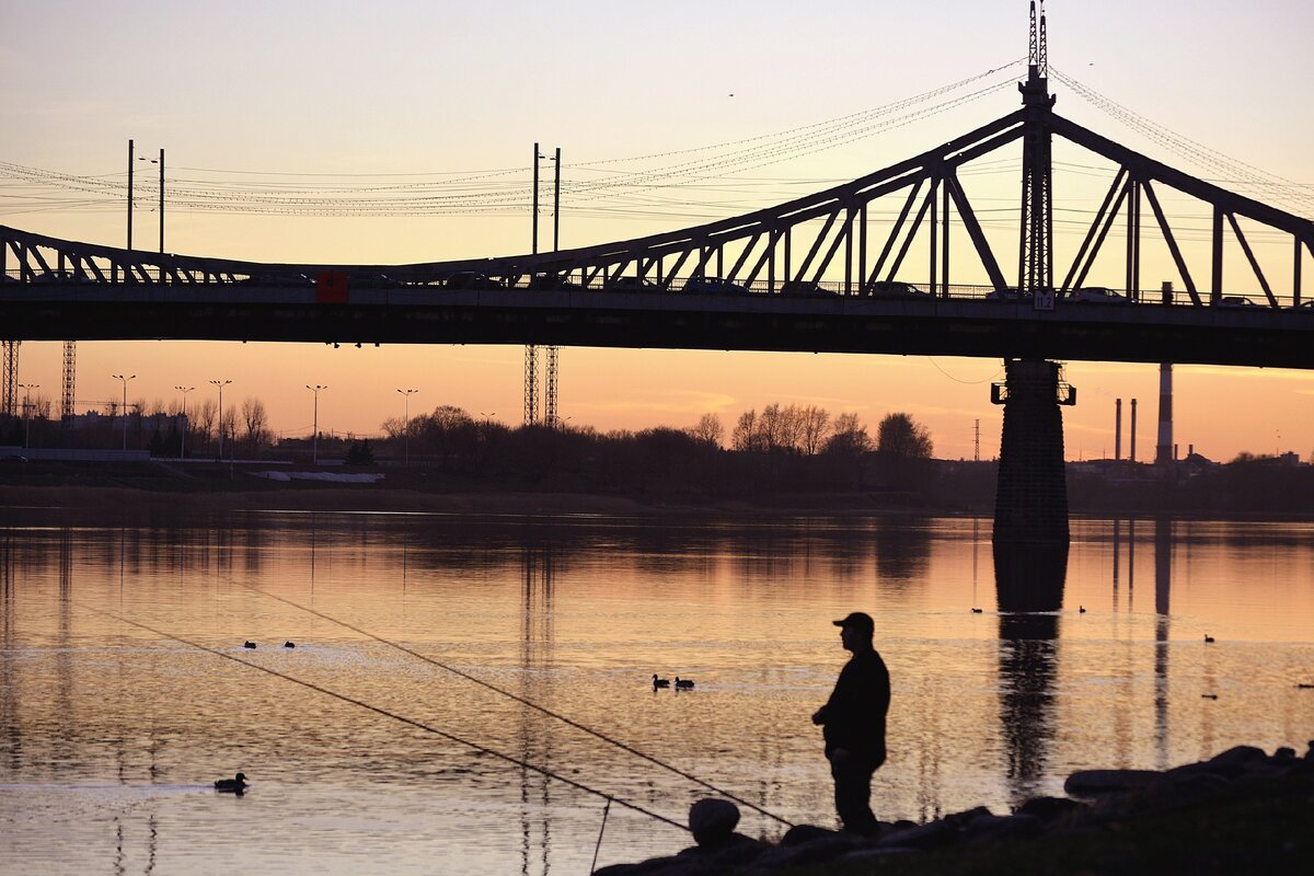 Фото: Дарья Белова