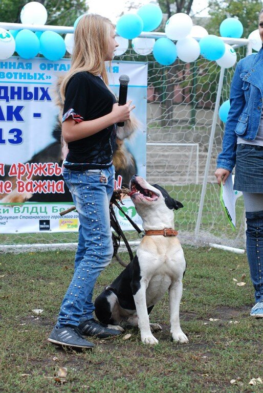 АСТ - Каспер и Даша (юный кинолог)