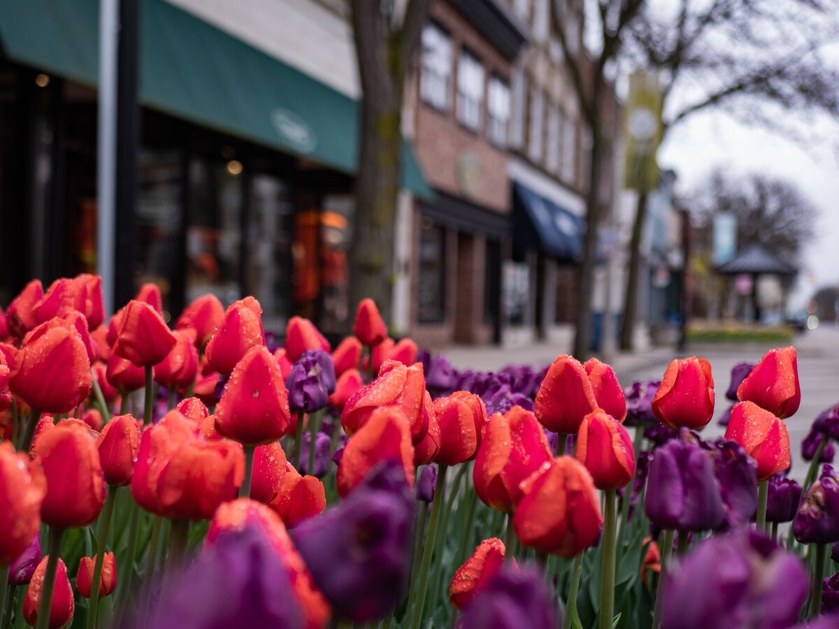Photo by Aaron Burden on Unsplash