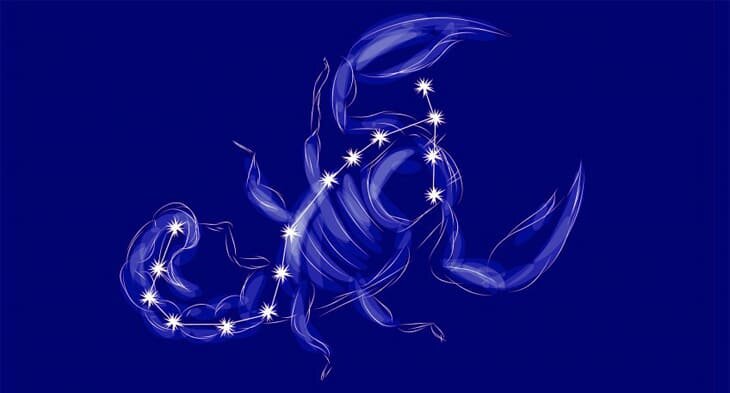 Скорпион. Изображение из открытых источников. 