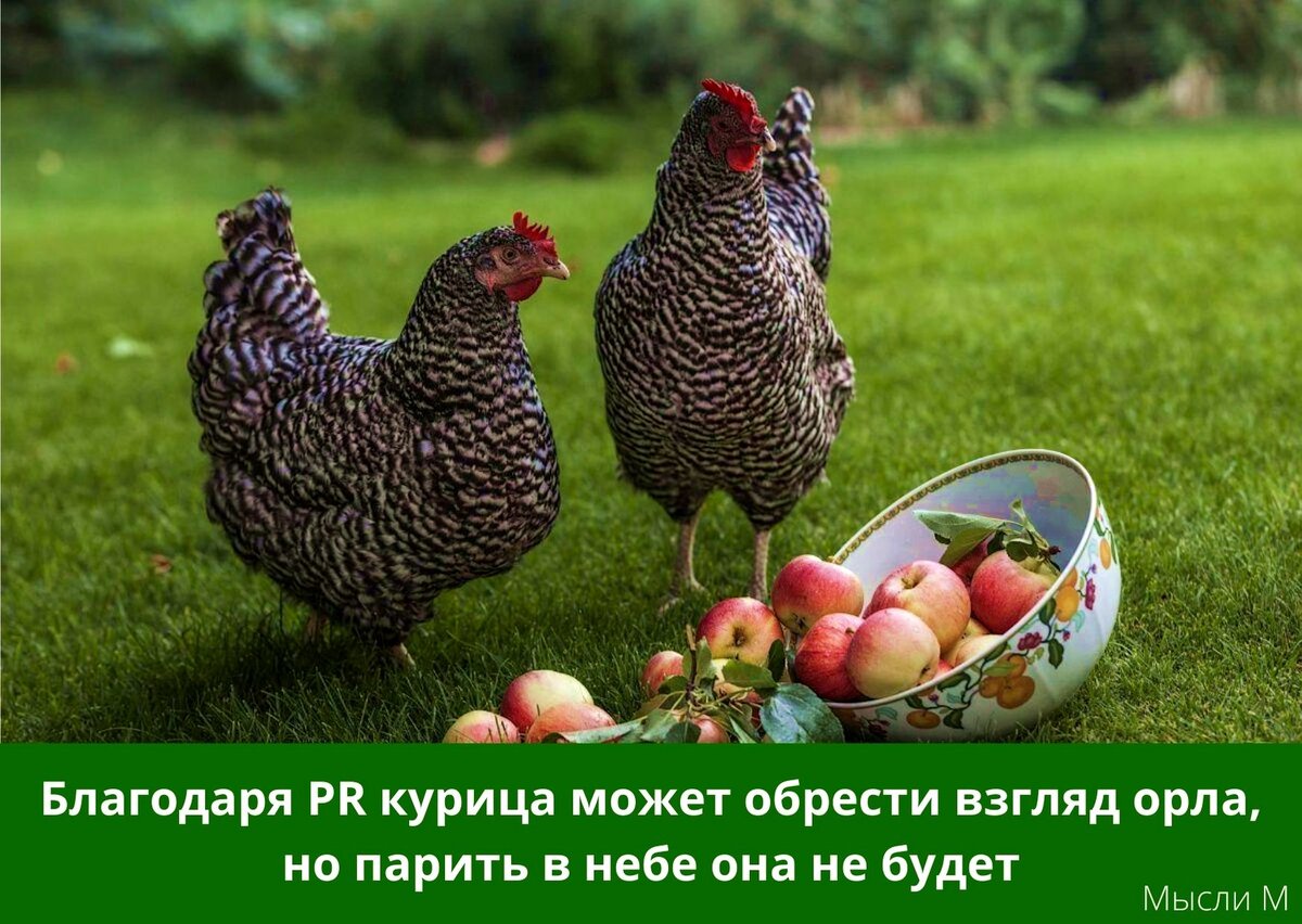 Почему из курицы не делают тартар? 