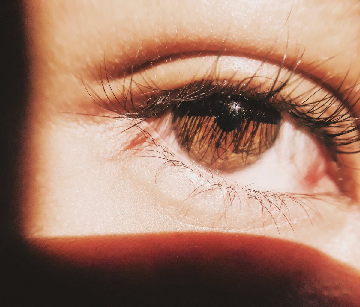 Чем больше я на них смотрю, тем выше мое сомнение. 