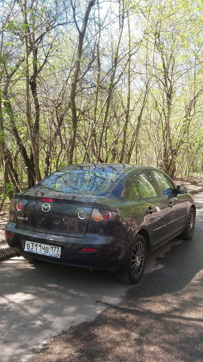 Авто за триста штук.. Определённо Mazda3 | SergioMagicHouse Ragdoll Cattery  | Дзен