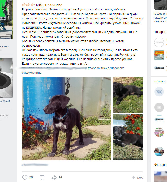 пропала собака по кличке...