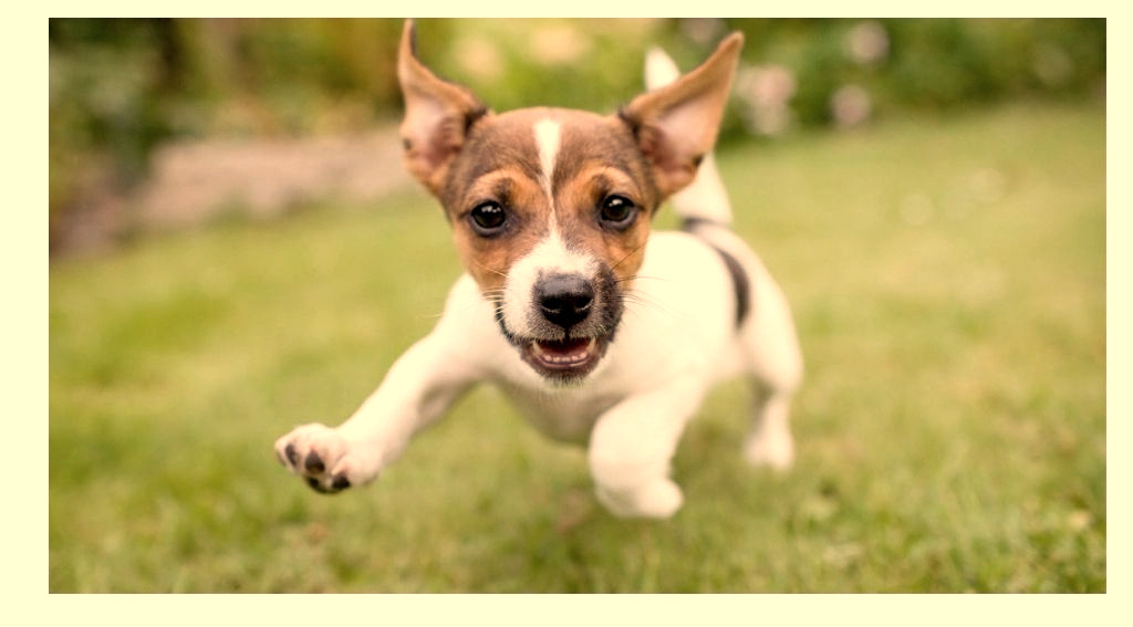 Счастье есть, его не может не быть