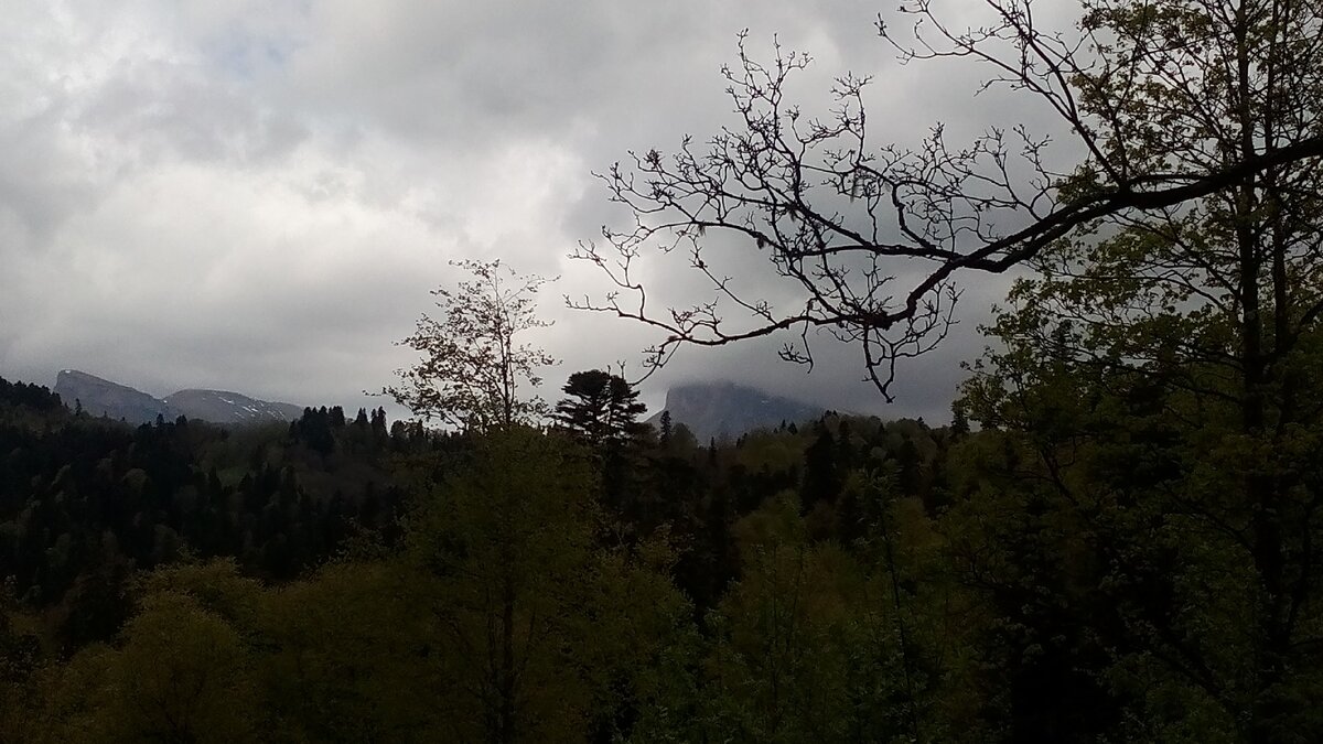 в лесу по пейзажу было не совсем понятно, весна ли это или еще осень