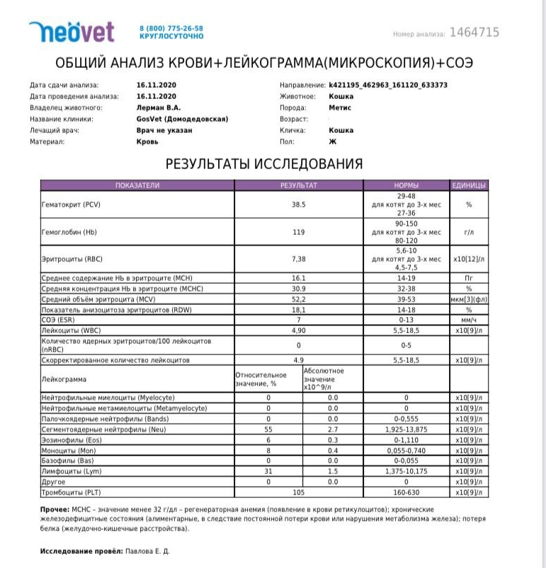 Данные результатов анализов