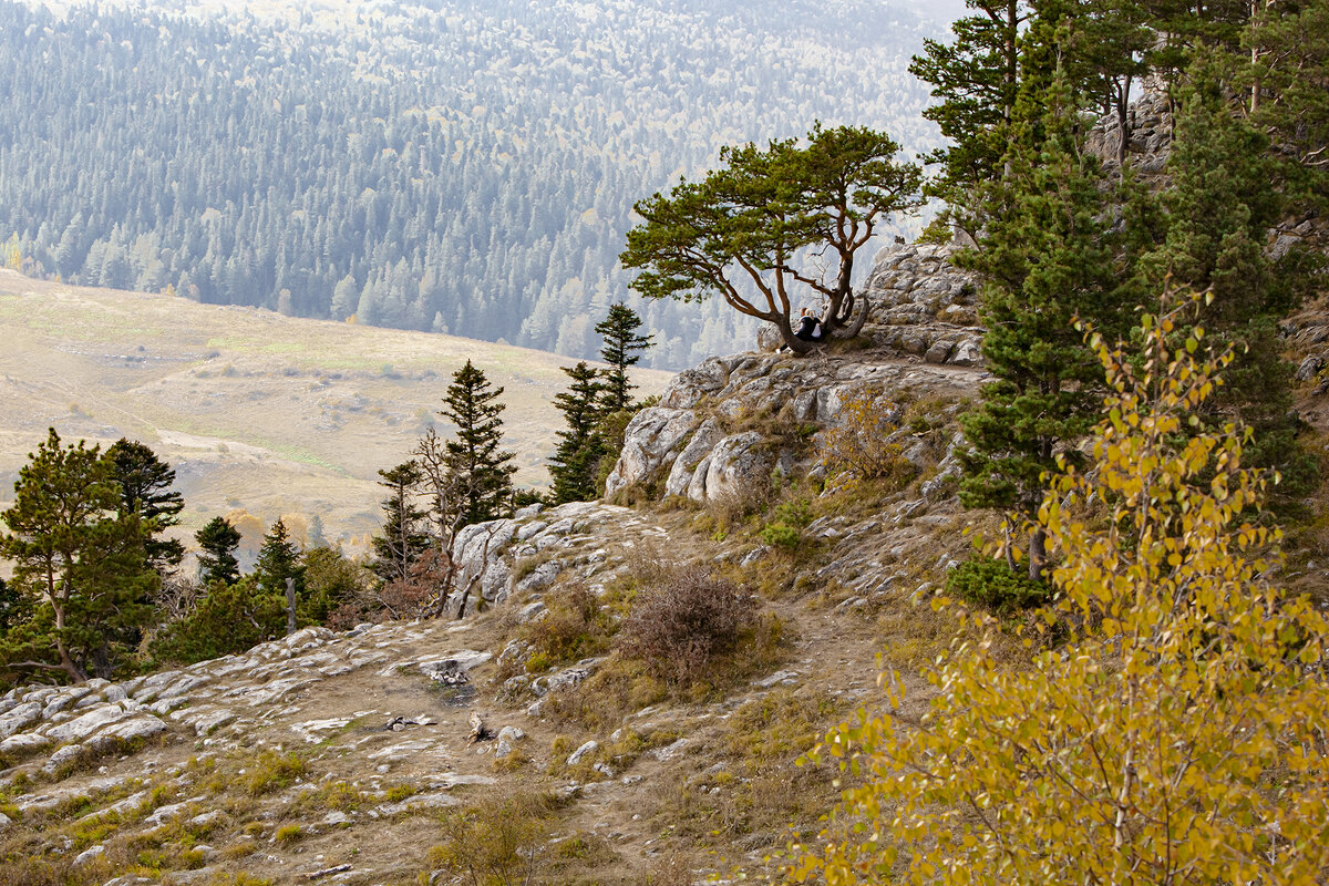 Внизу бродят коровы которых не видно, а лишь слышен звон колокольчиков