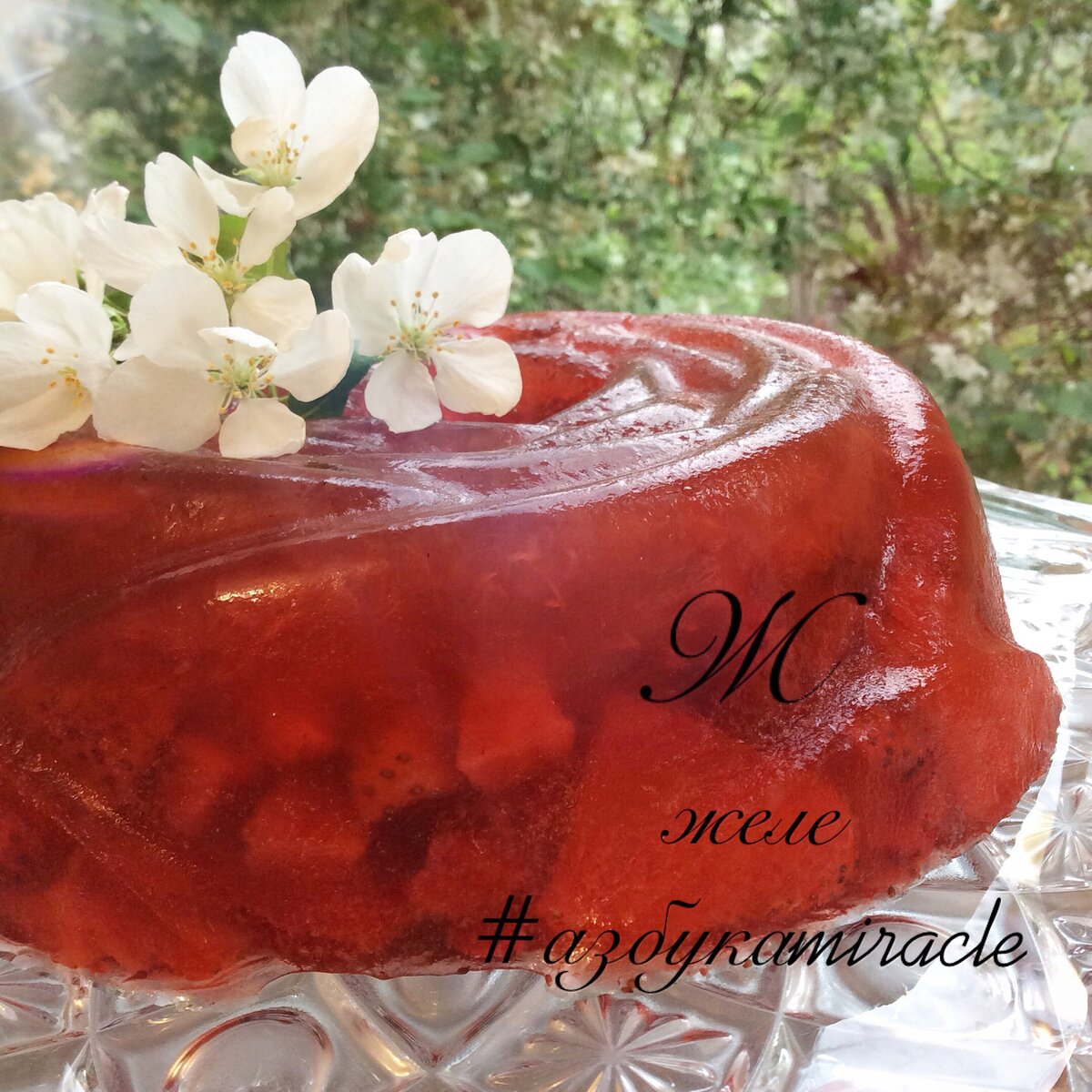 Желе с ягодами и розовым вином