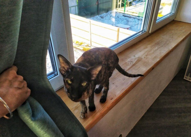 Не обработанный подоконник