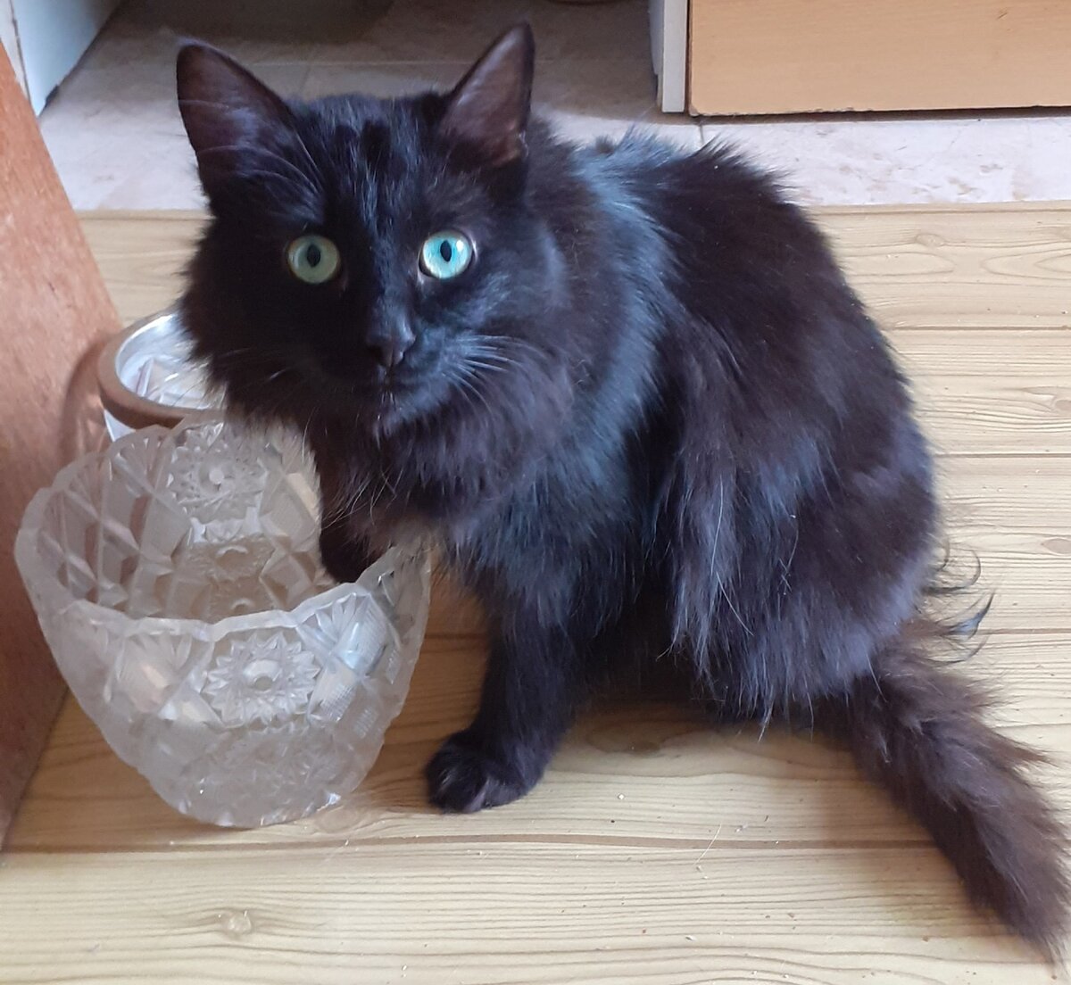 Басти - ребенок